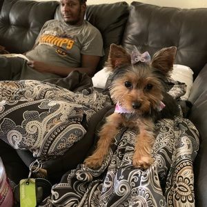 Meet your Posher, Jacquelyn